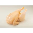 Friss Háztáji Csirke Egész  GMO-mentes  1,7 kg/db