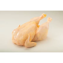 Friss Háztáji Csirke Egész  GMO-mentes  1,7 kg/db