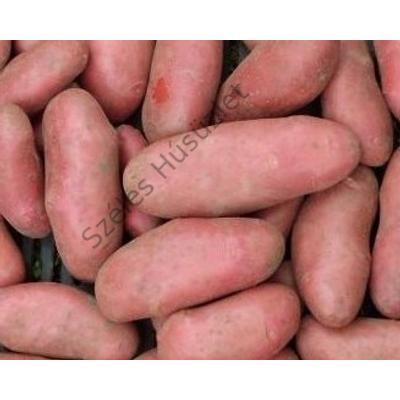 BK.Bio burgonya (kifli) lédig 1kg
